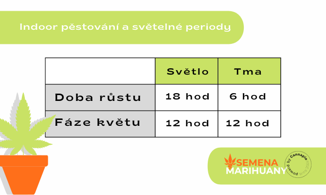 Světelné periody při pěstování konopí indoor